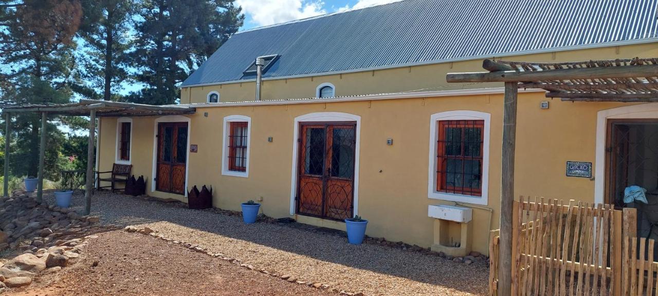 Gecko At Artemis Franschhoek