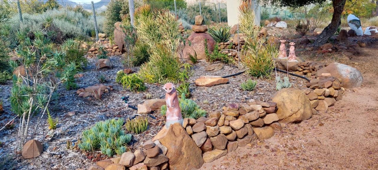 Gecko At Artemis Holiday home *